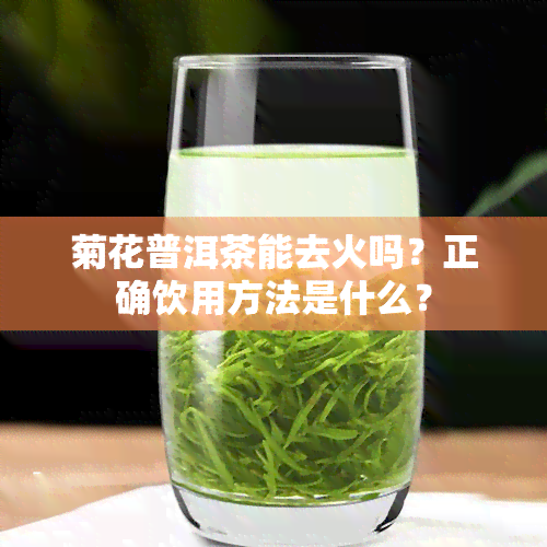 菊花普洱茶能去火吗？正确饮用方法是什么？