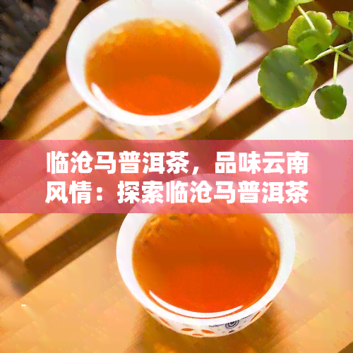 临沧马普洱茶，品味云南风情：探索临沧马普洱茶的独特魅力