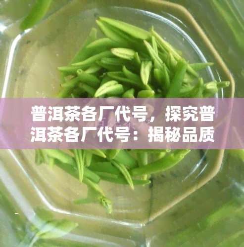 普洱茶各厂代号，探究普洱茶各厂代号：揭秘品质背后的秘密