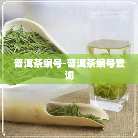 普洱茶编号-普洱茶编号查询