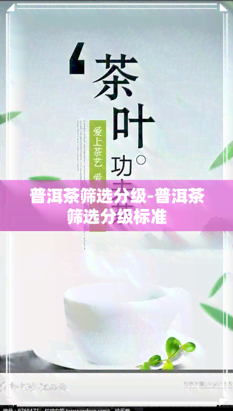 普洱茶筛选分级-普洱茶筛选分级标准