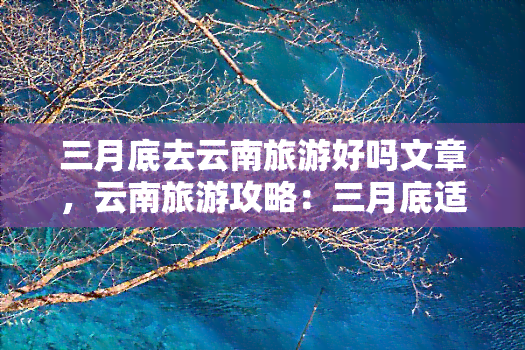 三月底去云南旅游好吗文章，云南旅游攻略：三月底适合前往吗？