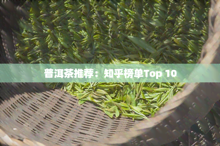 普洱茶推荐：知乎榜单Top 10