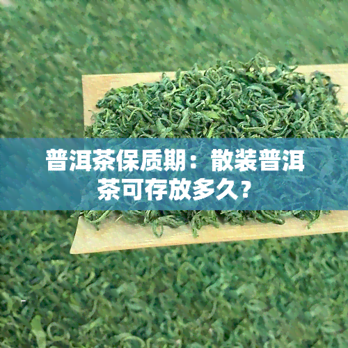 普洱茶保质期：散装普洱茶可存放多久？