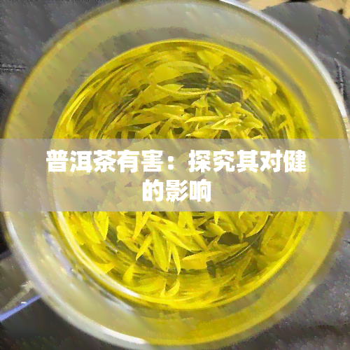 普洱茶有害：探究其对健的影响