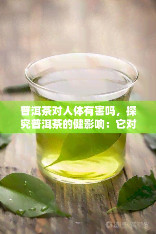 普洱茶对人体有害吗，探究普洱茶的健影响：它对人体有害吗？