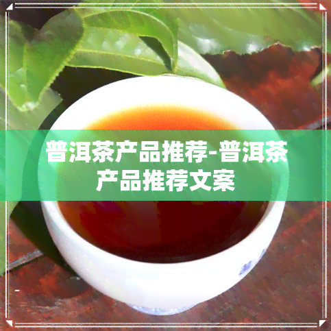 普洱茶产品推荐-普洱茶产品推荐文案