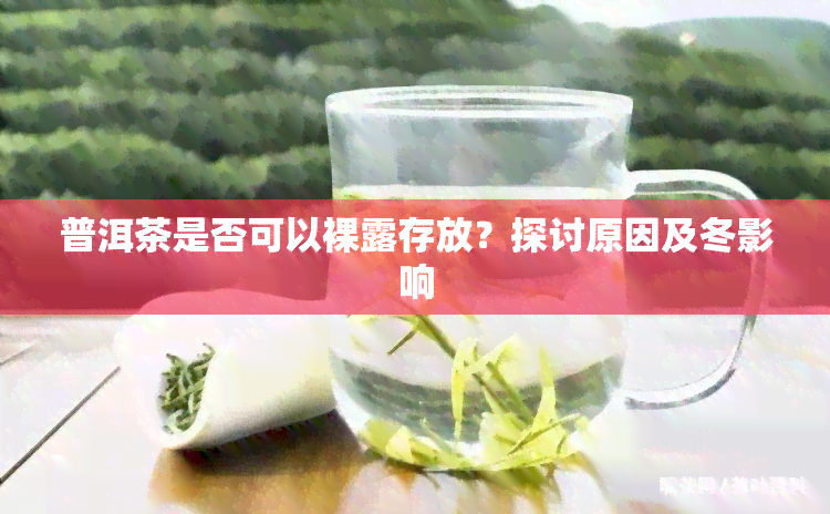 普洱茶是否可以     存放？探讨原因及冬影响