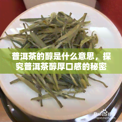 普洱茶的醇是什么意思，探究普洱茶醇厚口感的秘密：它到底是什么意思？