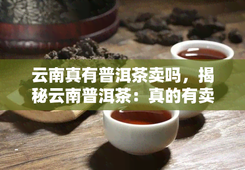 云南真有普洱茶卖吗，揭秘云南普洱茶：真的有卖吗？