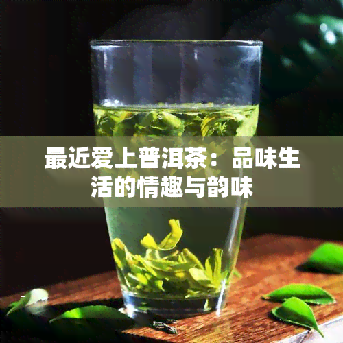 最近爱上普洱茶：品味生活的情趣与韵味