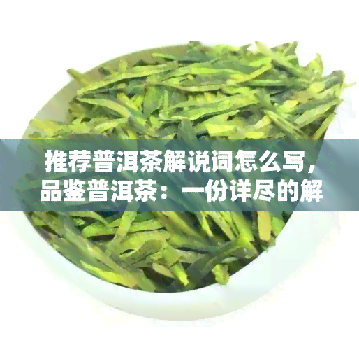 推荐普洱茶解说词怎么写，品鉴普洱茶：一份详尽的解说词推荐