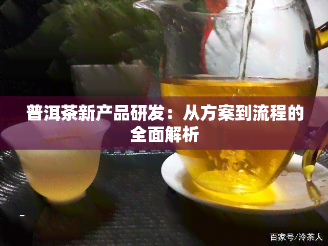 普洱茶新产品研发：从方案到流程的全面解析