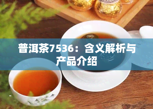 普洱茶7536：含义解析与产品介绍