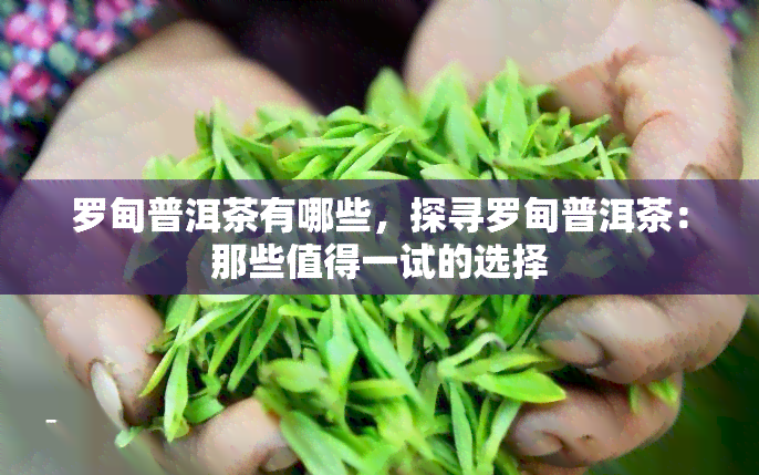 罗甸普洱茶有哪些，探寻罗甸普洱茶：那些值得一试的选择