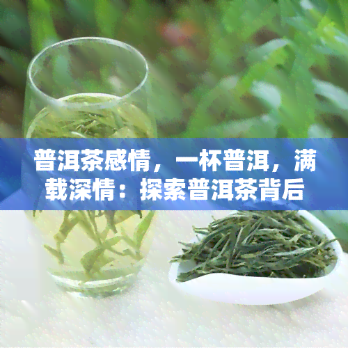 普洱茶感情，一杯普洱，满载深情：探索普洱茶背后的情感世界