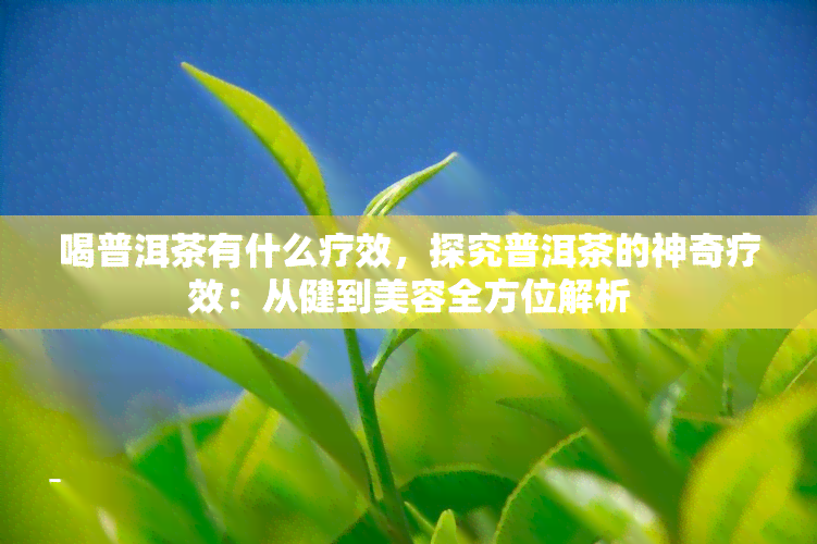 喝普洱茶有什么疗效，探究普洱茶的神奇疗效：从健到美容全方位解析