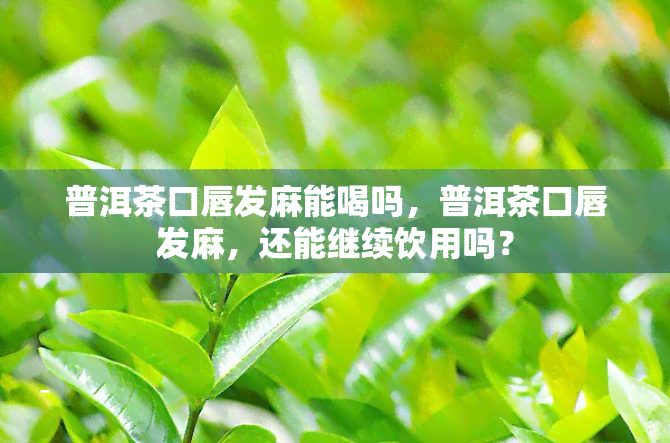 普洱茶口唇发麻能喝吗，普洱茶口唇发麻，还能继续饮用吗？