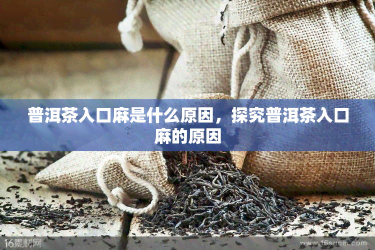 普洱茶入口麻是什么原因，探究普洱茶入口麻的原因