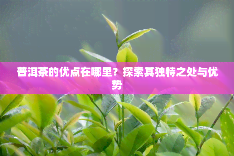 普洱茶的优点在哪里？探索其独特之处与优势