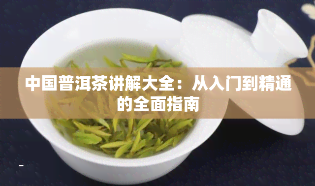 中国普洱茶讲解大全：从入门到精通的全面指南