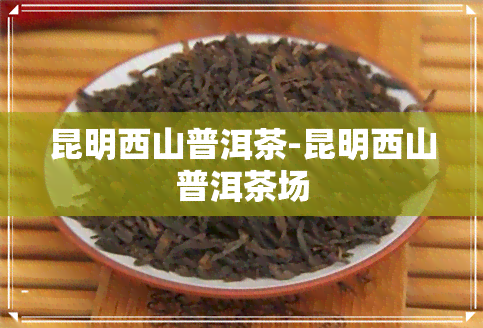 昆明西山普洱茶-昆明西山普洱茶场