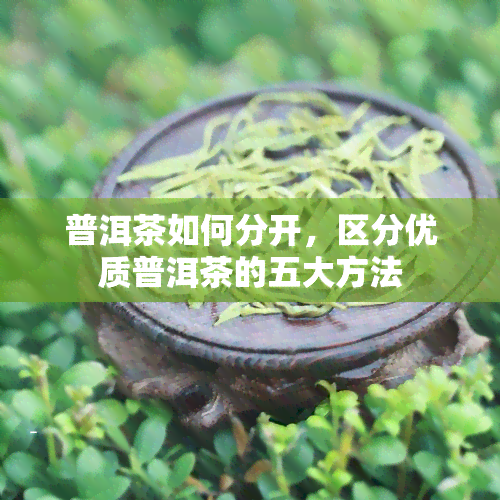 普洱茶如何分开，区分优质普洱茶的五大方法