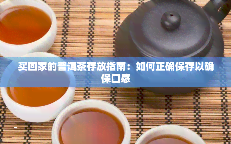 买回家的普洱茶存放指南：如何正确保存以确保口感