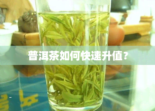 普洱茶如何快速升值？