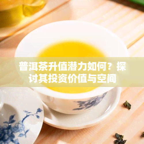 普洱茶升值潜力如何？探讨其投资价值与空间