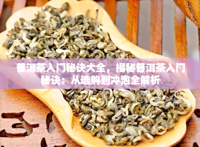 普洱茶入门秘诀大全，揭秘普洱茶入门秘诀：从选购到冲泡全解析