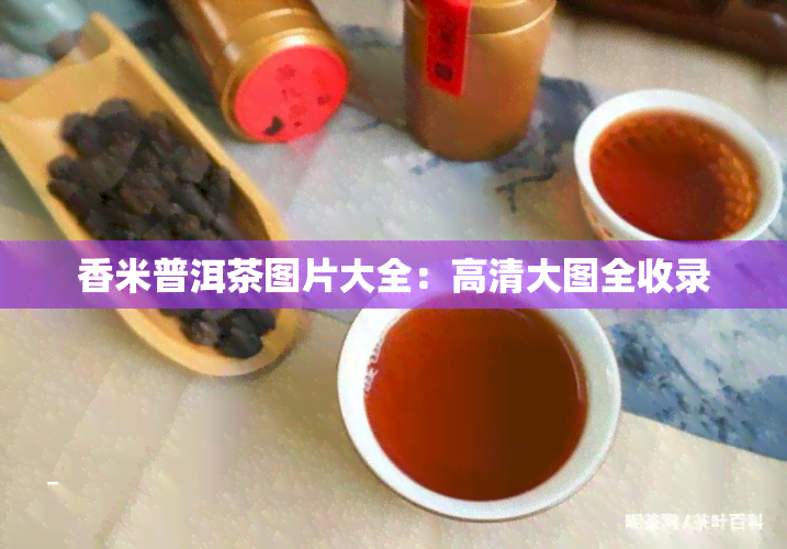 香米普洱茶图片大全：高清大图全收录