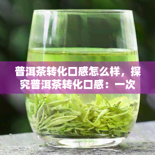 普洱茶转化口感怎么样，探究普洱茶转化口感：一次深入的品茗体验