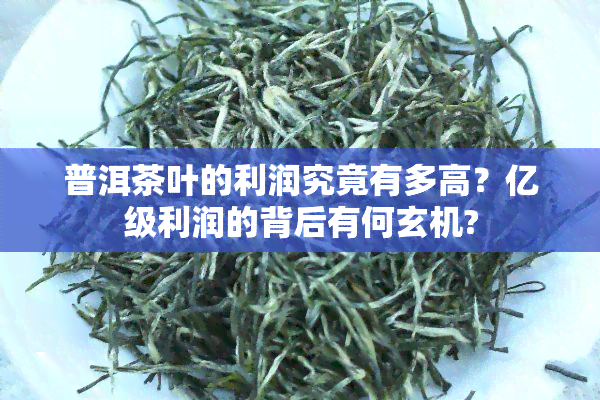 普洱茶叶的利润究竟有多高？亿级利润的背后有何玄机?