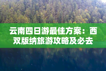 云南四日游更佳方案：西双版纳旅游攻略及必去景点路线