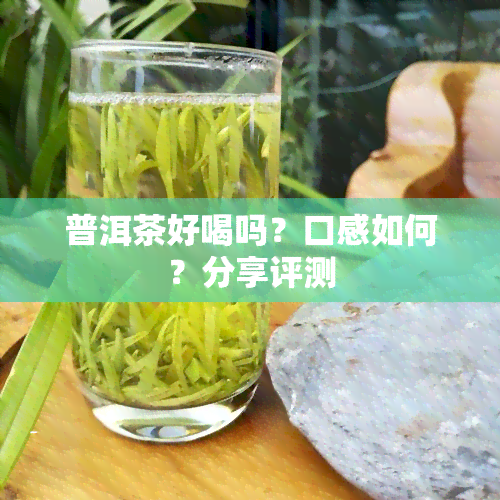 普洱茶好喝吗？口感如何？分享评测