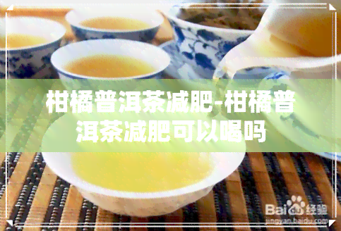 柑橘普洱茶减肥-柑橘普洱茶减肥可以喝吗