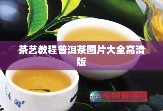 茶艺教程普洱茶图片大全高清版