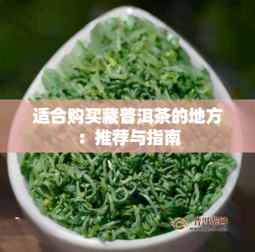 适合购买藏普洱茶的地方：推荐与指南