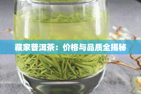 藏家普洱茶：价格与品质全揭秘