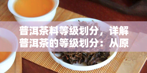 普洱茶料等级划分，详解普洱茶的等级划分：从原料到口感的全面解析