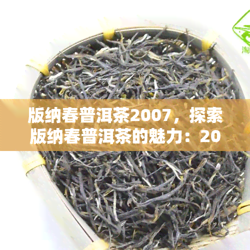 版纳春普洱茶2007，探索版纳春普洱茶的魅力：2007年的独特风味