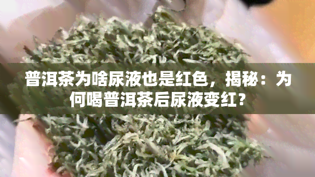 普洱茶为啥尿液也是红色，揭秘：为何喝普洱茶后尿液变红？