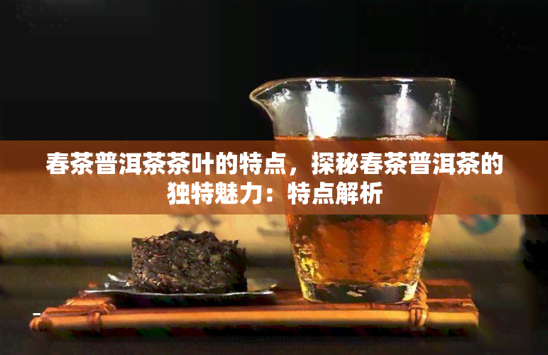 春茶普洱茶茶叶的特点，探秘春茶普洱茶的独特魅力：特点解析