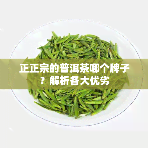 正正宗的普洱茶哪个牌子？解析各大优劣