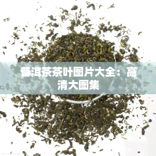 普洱茶茶叶图片大全：高清大图集