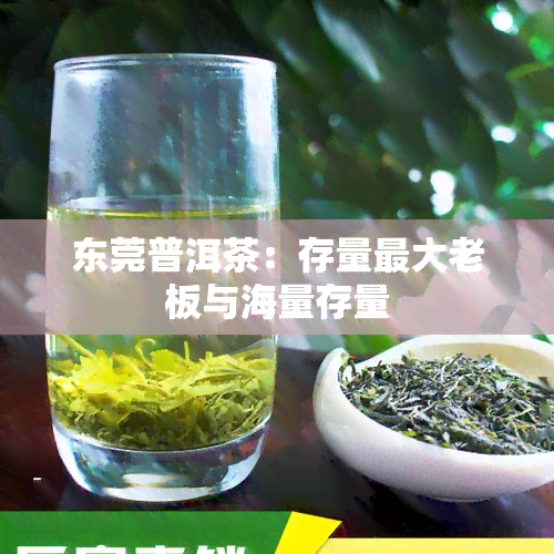 东莞普洱茶：存量更大老板与海量存量