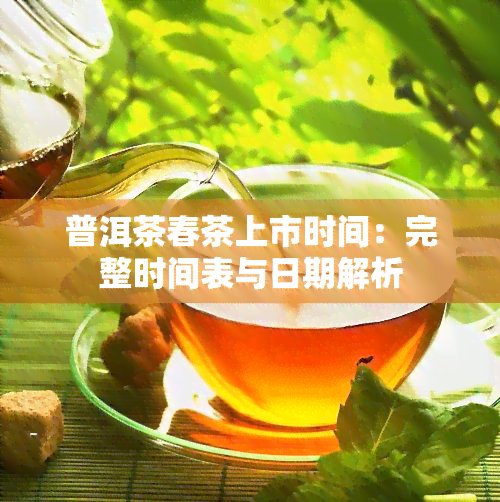 普洱茶春茶上市时间：完整时间表与日期解析