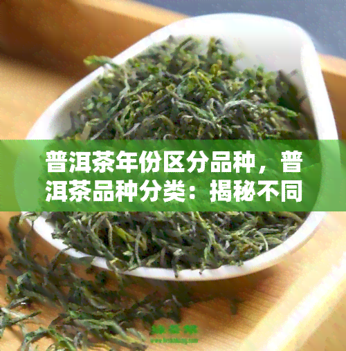 普洱茶年份区分品种，普洱茶品种分类：揭秘不同年份的口感与价值