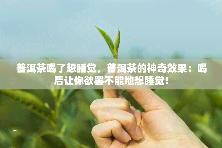 普洱茶喝了想睡觉，普洱茶的神奇效果：喝后让你欲罢不能地想睡觉！